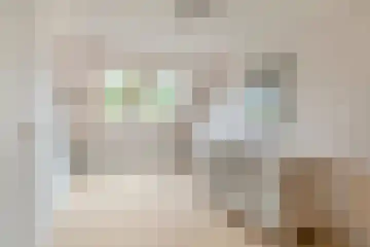Kapitein Nemostraat 97 Tilburg thumbnail 34
