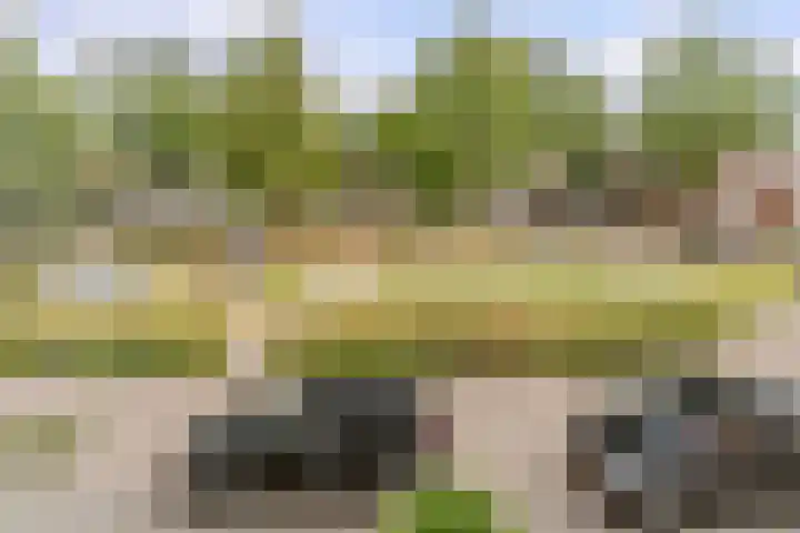 Kapitein Nemostraat 97 Tilburg thumbnail 35