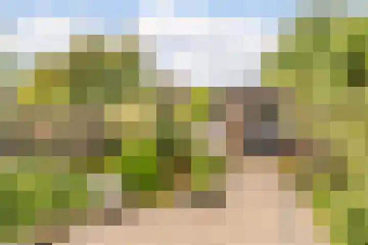 Kapitein Nemostraat 97 Tilburg thumbnail 37