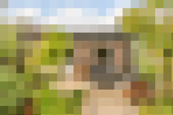Kapitein Nemostraat 97 Tilburg thumbnail 38