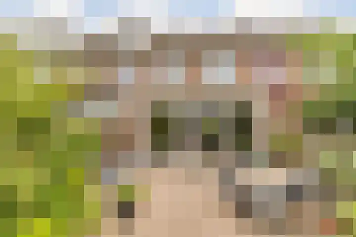 Kapitein Nemostraat 97 Tilburg thumbnail 41