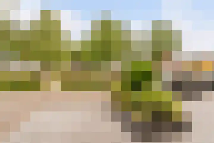 Kapitein Nemostraat 97 Tilburg thumbnail 47