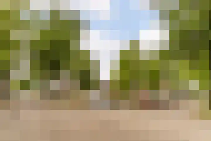 Kapitein Nemostraat 97 Tilburg thumbnail 49