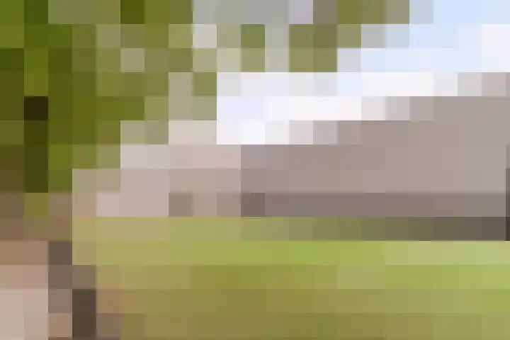 Kapitein Nemostraat 97 Tilburg thumbnail 51