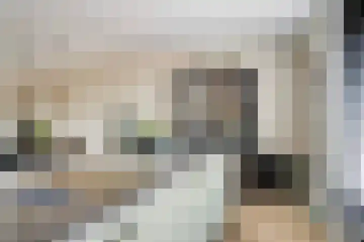 Kapitein Perrotstraat 10 Halsteren thumbnail 19