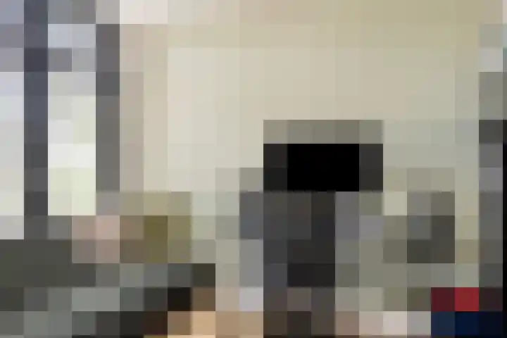 Kapitein Perrotstraat 10 Halsteren thumbnail 20