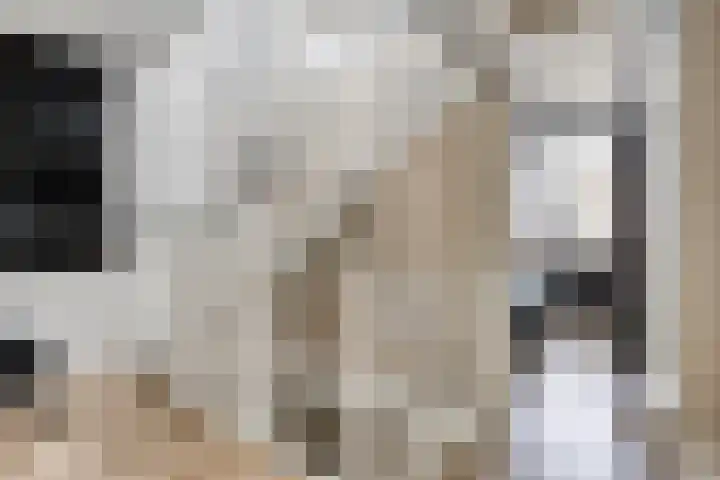 Kapitein Perrotstraat 10 Halsteren thumbnail 21