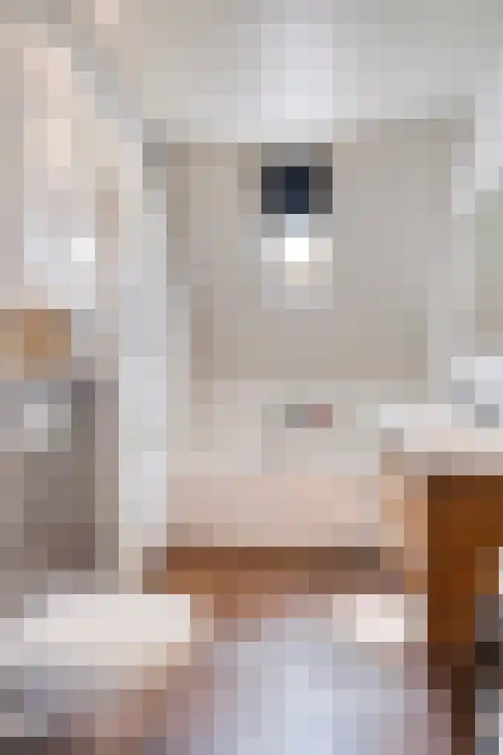 Kapitein Perrotstraat 10 Halsteren thumbnail 24