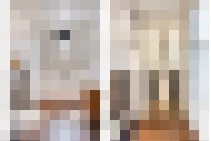 Kapitein Perrotstraat 10 Halsteren thumbnail 27