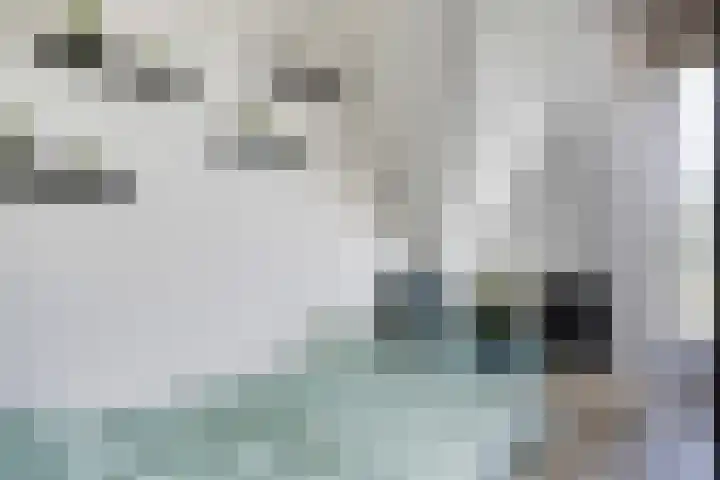 Kapitein Perrotstraat 10 Halsteren thumbnail 28
