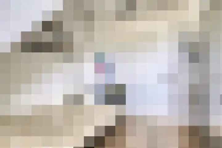 Kapitein Perrotstraat 10 Halsteren thumbnail 31