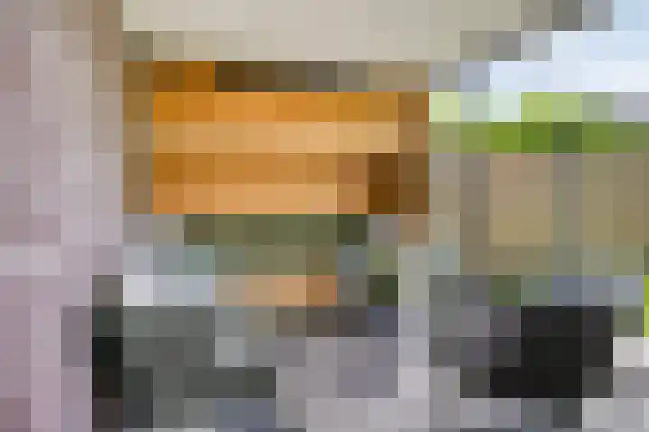 Kapitein Perrotstraat 10 Halsteren thumbnail 35