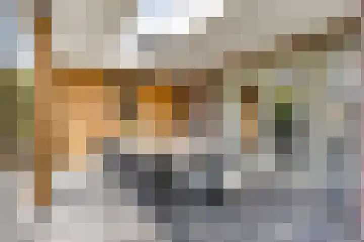 Kapitein Perrotstraat 10 Halsteren thumbnail 36