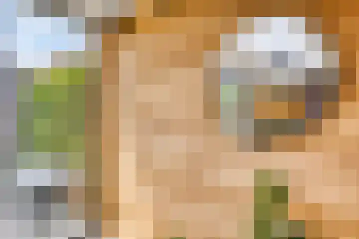 Kapitein Perrotstraat 10 Halsteren thumbnail 37
