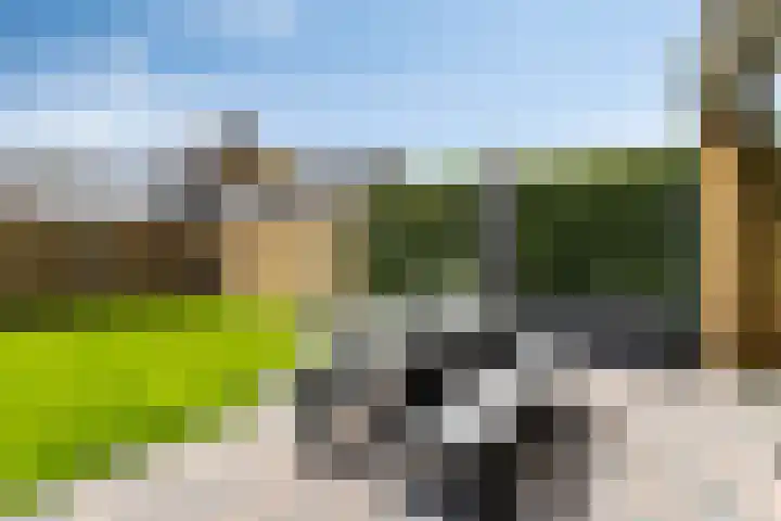 Kapitein Perrotstraat 10 Halsteren thumbnail 38