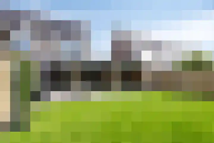 Kapitein Perrotstraat 10 Halsteren thumbnail 39