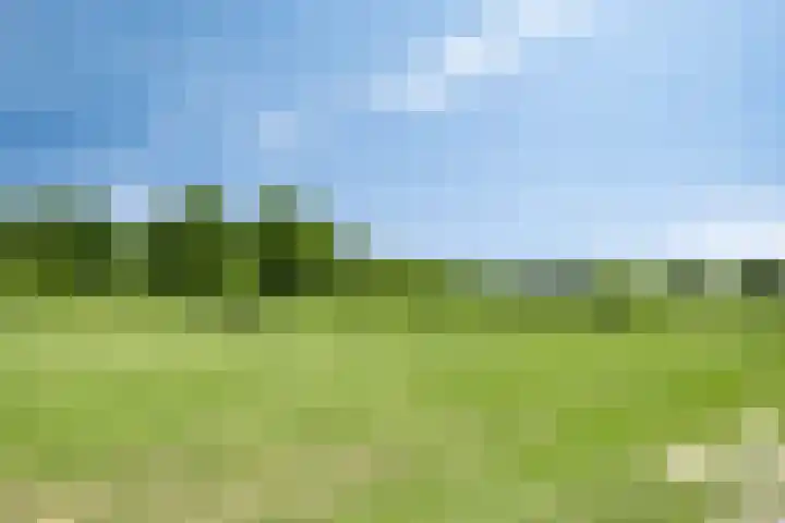 Kapitein Perrotstraat 10 Halsteren thumbnail 41