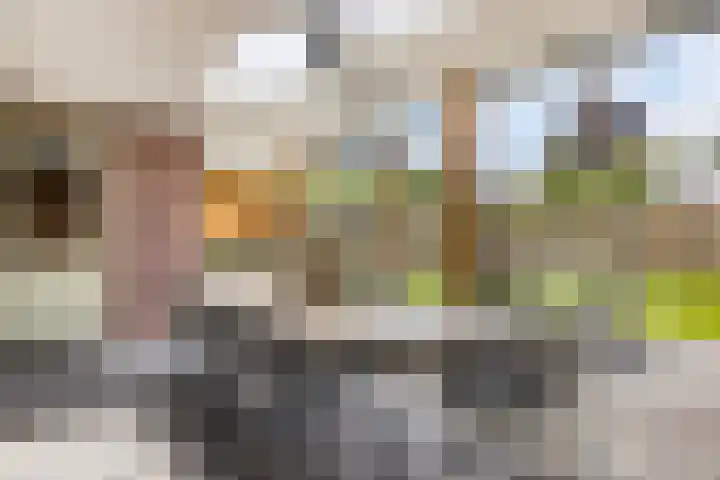 Kapitein Perrotstraat 10 Halsteren thumbnail 8