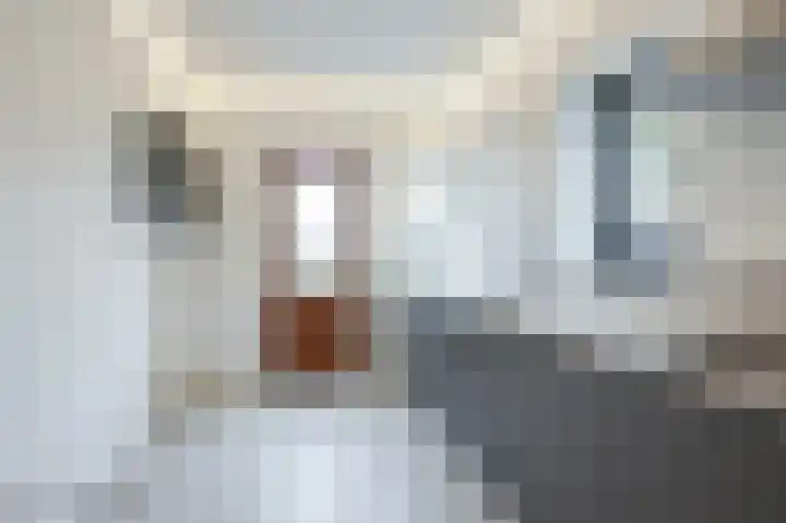 Kapitein Postmalaan 7 Heumen thumbnail 12