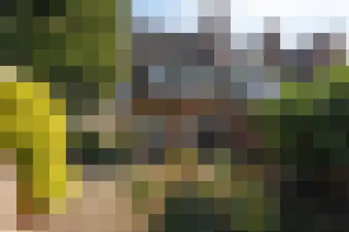 Kapitein Postmalaan 7 Heumen thumbnail 30