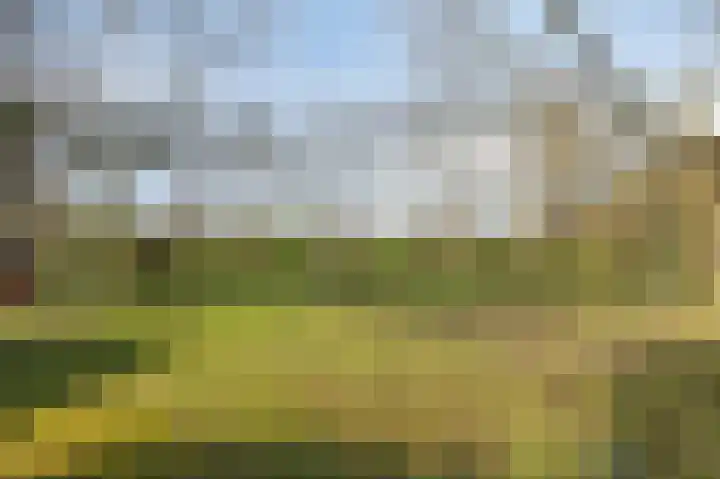Kapitein Postmalaan 7 Heumen thumbnail 32
