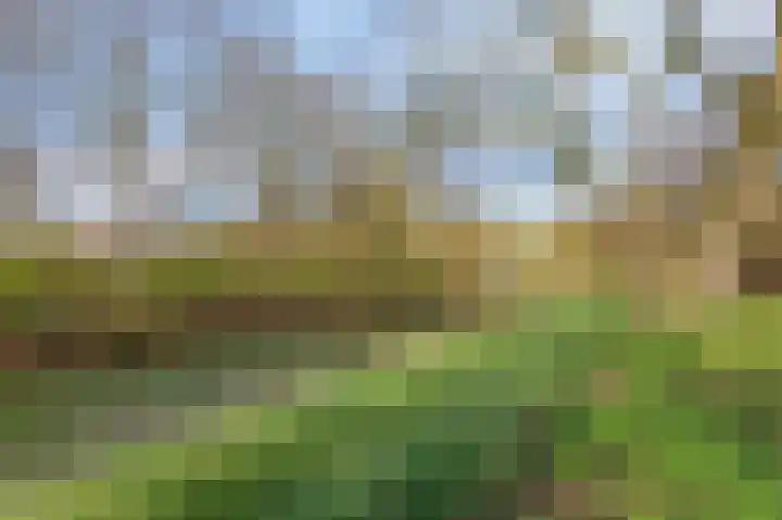 Kapitein Postmalaan 7 Heumen thumbnail 34