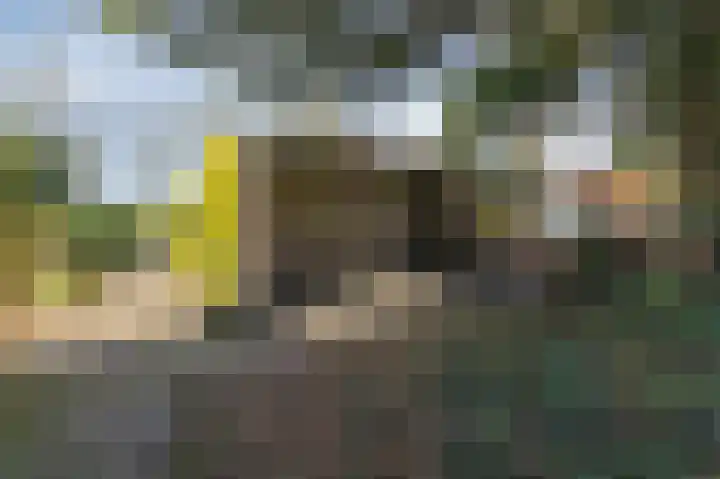 Kapitein Postmalaan 7 Heumen thumbnail 35