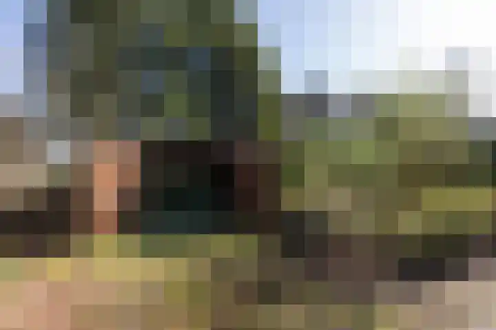 Kapitein Postmalaan 7 Heumen thumbnail 37