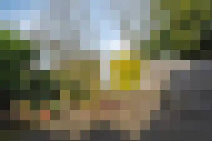 Kapitein Postmalaan 7 Heumen thumbnail 39