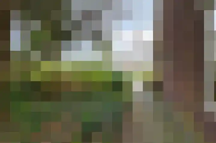 Kapitein Postmalaan 7 Heumen thumbnail 41