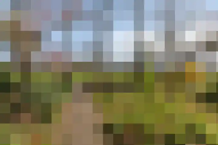 Kapitein Postmalaan 7 Heumen thumbnail 42