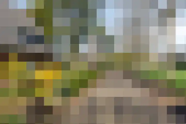 Kapitein Postmalaan 7 Heumen thumbnail 44
