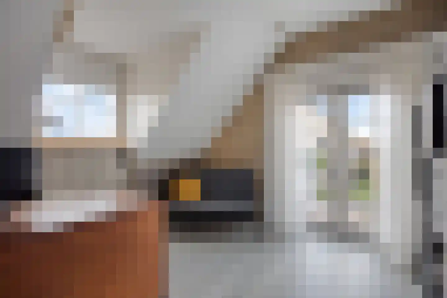 Kapitein R. Fassaertstraat 10 Lamswaarde thumbnail 21