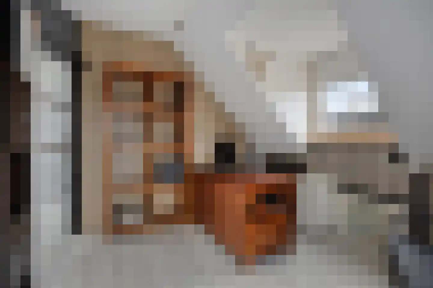 Kapitein R. Fassaertstraat 10 Lamswaarde thumbnail 22