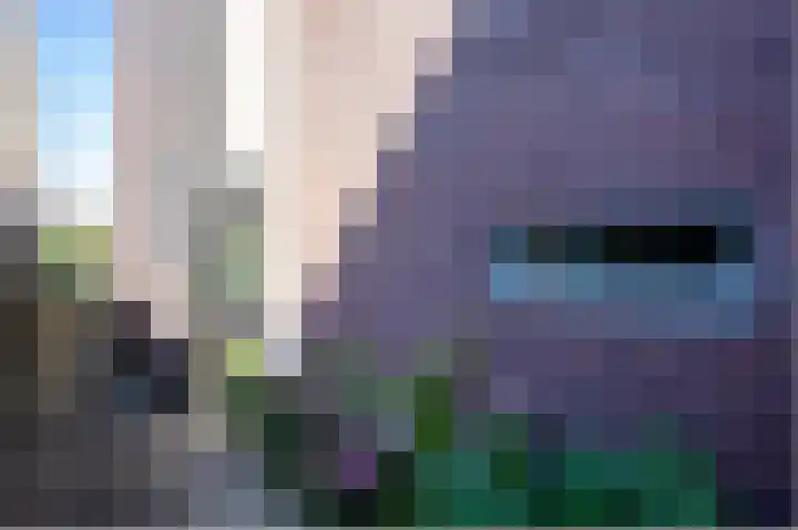 Kapitein Robstraat 3 Almere thumbnail 31
