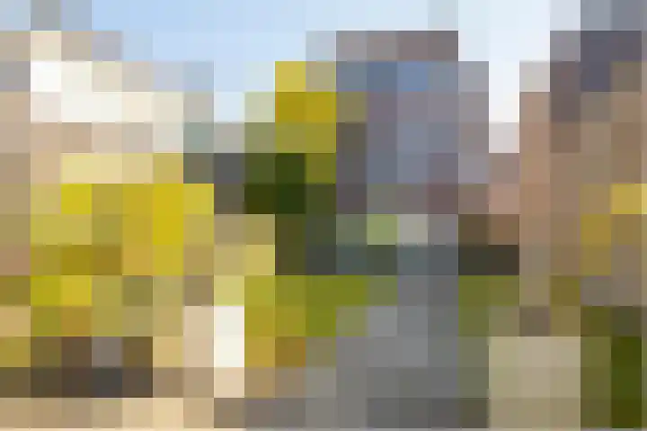 Kapitein Robstraat 3 Almere thumbnail 39