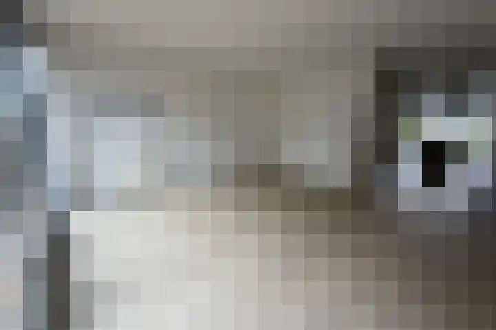 Kapitein Robstraat 3 Almere thumbnail 5