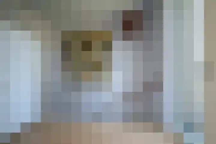 Kapitein Robstraat 4 Almere thumbnail 20