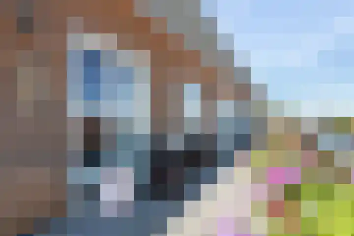 Kapitein van Zijll-laan 36 A Benschop thumbnail 18