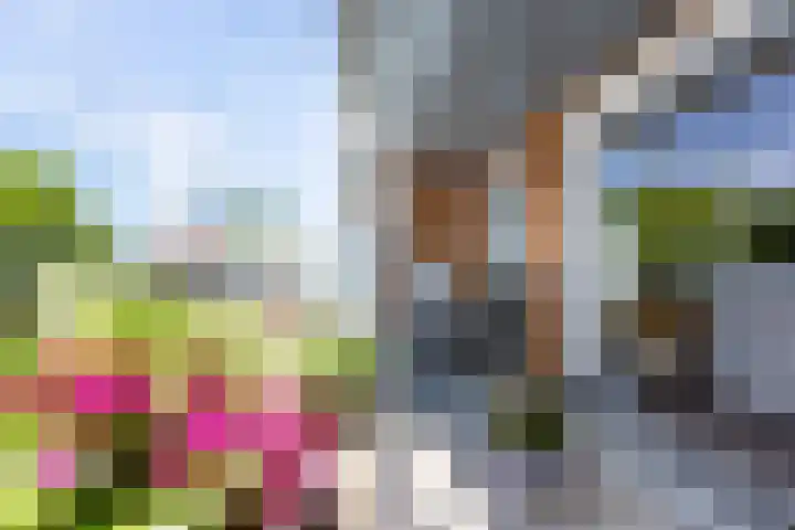 Kapitein van Zijll-laan 36 A Benschop thumbnail 30