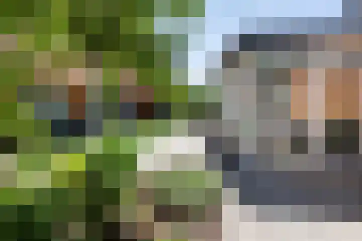 Kapitein van Zijll-laan 36 A Benschop thumbnail 42