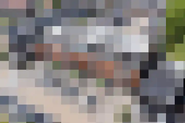 Kapitein van Zijll-laan 36 A Benschop thumbnail 47