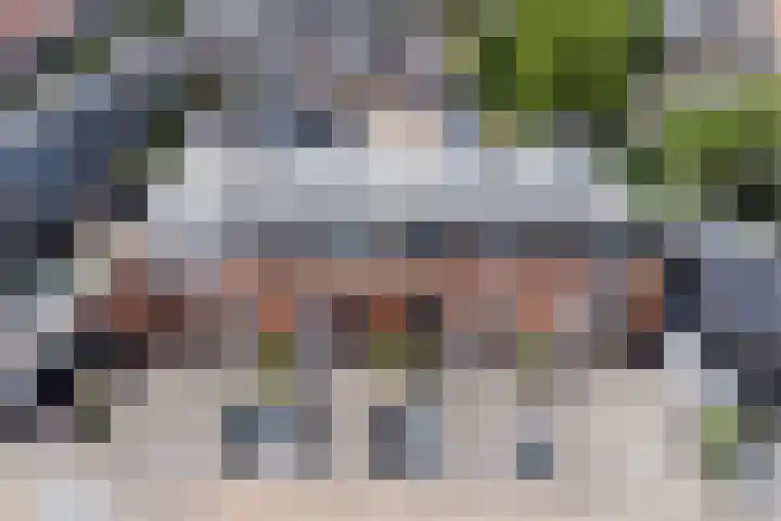 Kapitein van Zijll-laan 36 A Benschop thumbnail 48