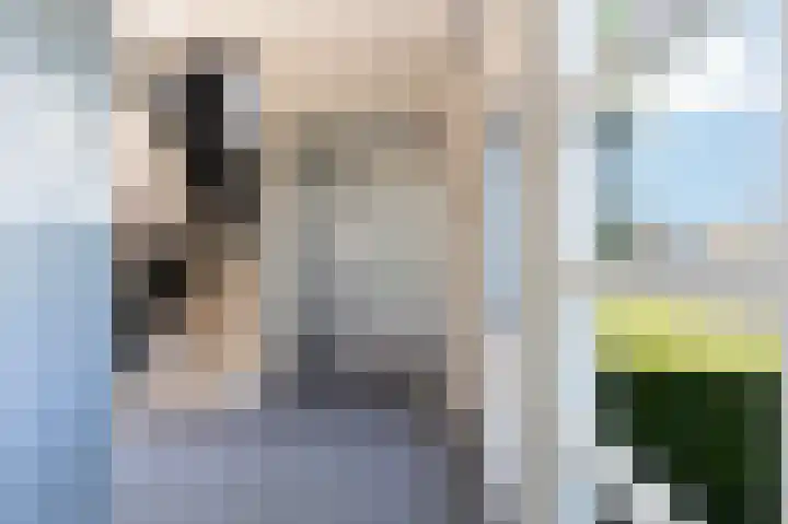 Kapitein van Zijll-laan 36 A Benschop thumbnail 8