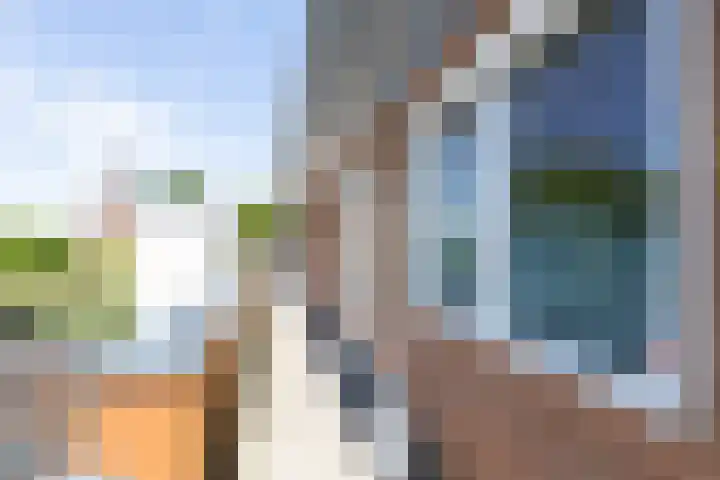Kapitein van Zijll-laan 36 A Benschop thumbnail 9