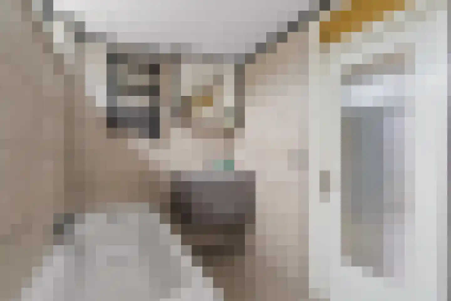 Kapitein van Zijll-laan 67 Benschop thumbnail 31