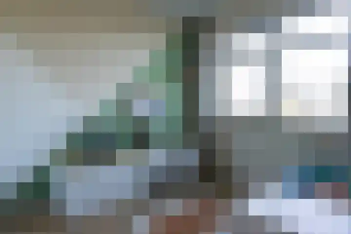 Kapitein Vinkesteinstraat 24 Halsteren thumbnail 12