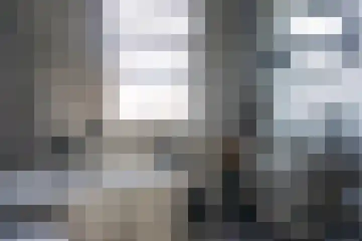 Kapitein Vinkesteinstraat 24 Halsteren thumbnail 14
