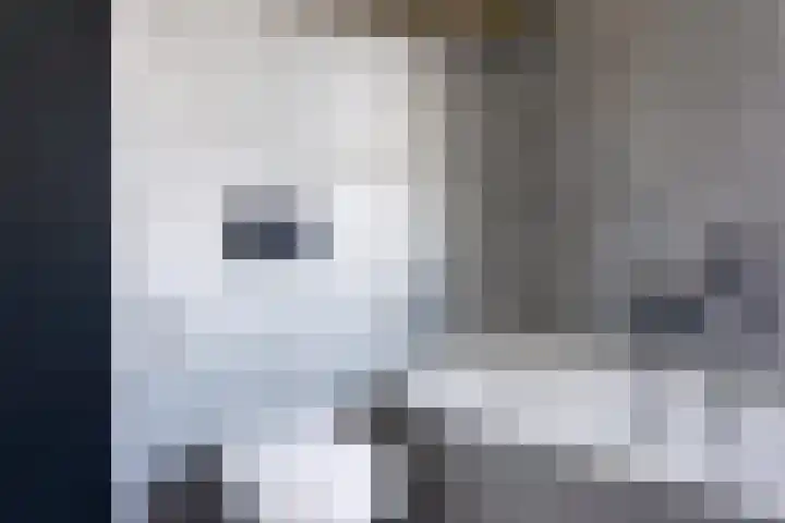 Kapitein Vinkesteinstraat 24 Halsteren thumbnail 17