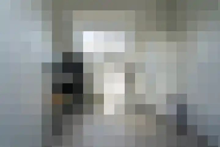 Kapitein Vinkesteinstraat 24 Halsteren thumbnail 19